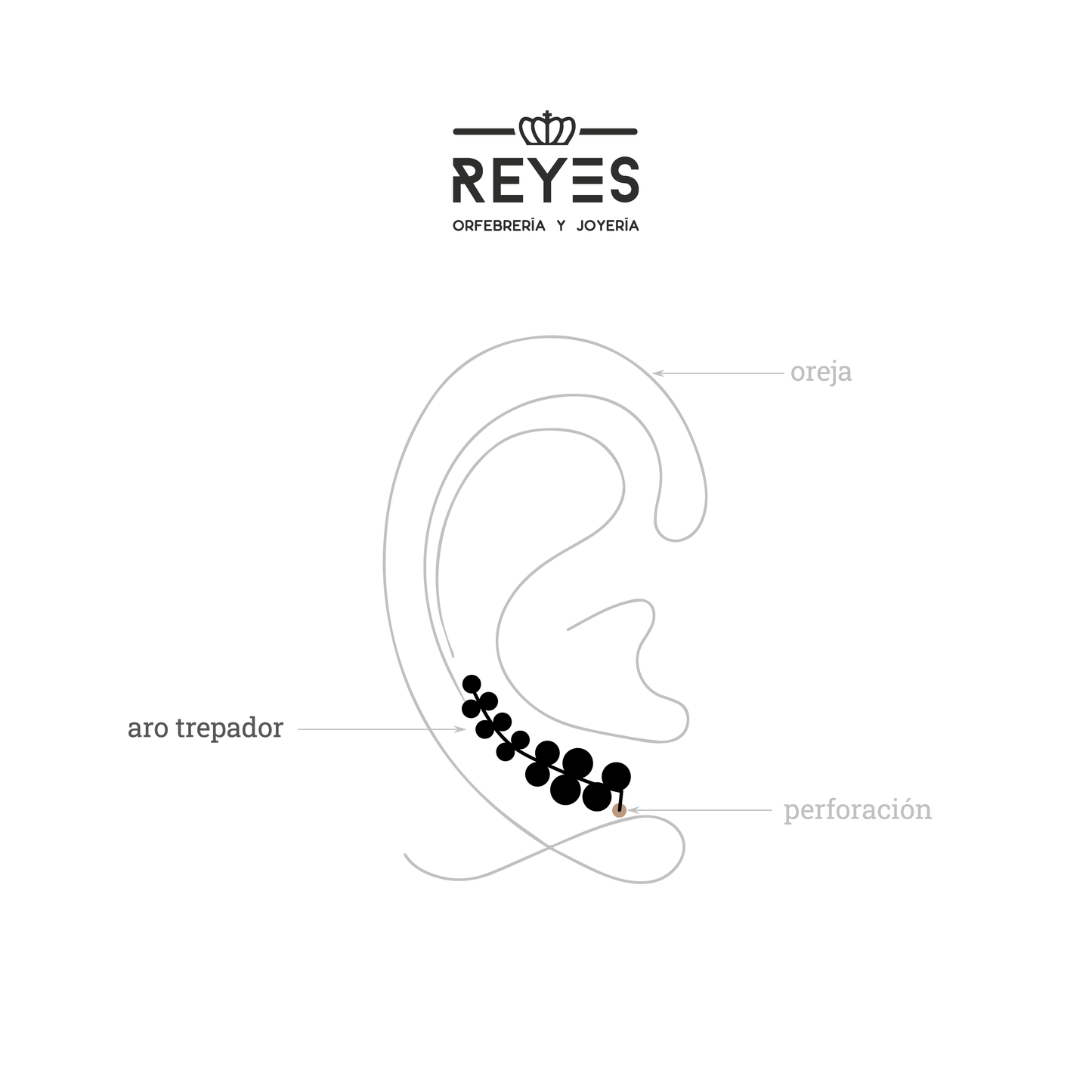 Hoop earrings 14mm. and silver mouse